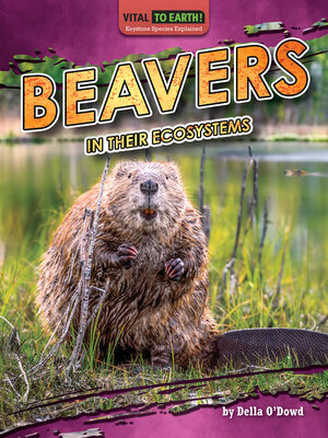 cover image of Beavers in Their Ecosystems